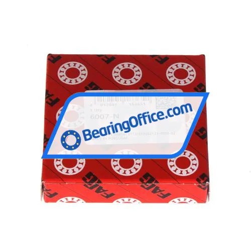 FAG 6004N bearing image 4