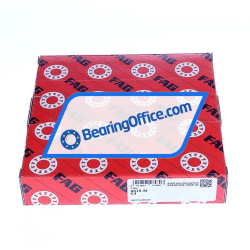 FAG 6019-M-C4 bearing image 3