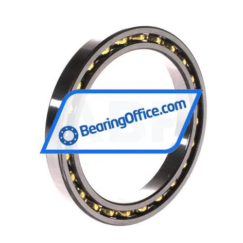FAG 61813-Y bearing image 2