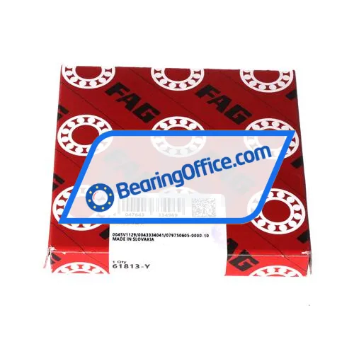 FAG 61813-Y bearing image 3