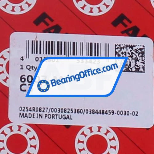 FAG 6007-M-C3 bearing image 5