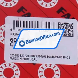 FAG 6007-M-C3 rulman resim 5