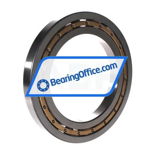 FAG 16024-M-C4 bearing image 2