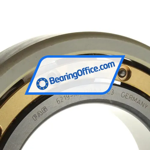 FAG 6219-M-C3-J20AA bearing image 2