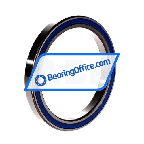 FAG 61819-2RZ-Y-L460 bearing image 2