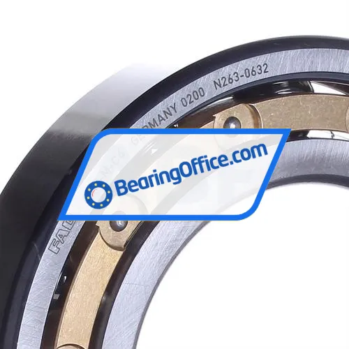 FAG 6217-M-C4 bearing image 2