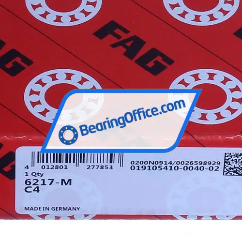 FAG 6217-M-C4 bearing image 5