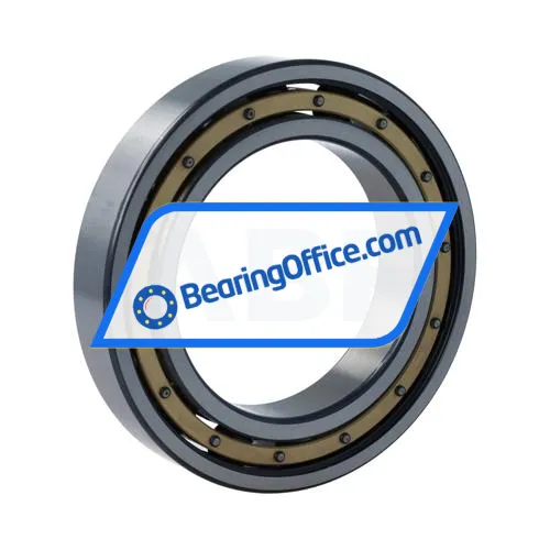 FAG 6016-M-C4 bearing image 2