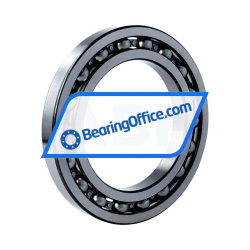 FAG 16021-C5 bearing image 2