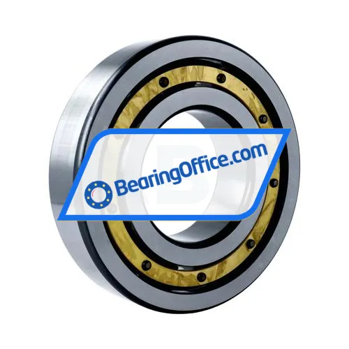 FAG 6319-M-P6-C4 bearing image 2