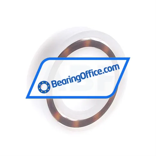 FAG 6005POM bearing image 2