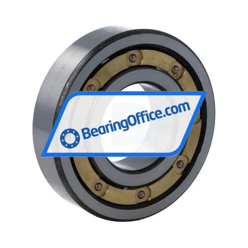 FAG 6309M-C3 bearing image 2