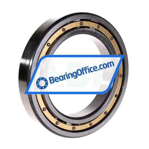 FAG 6021M-C3 bearing image 2