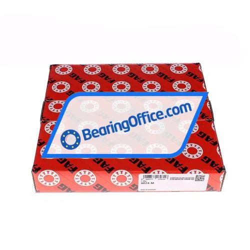 FAG 6024-M bearing image 2
