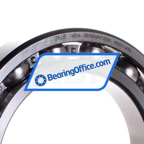 FAG 6024 bearing image 2