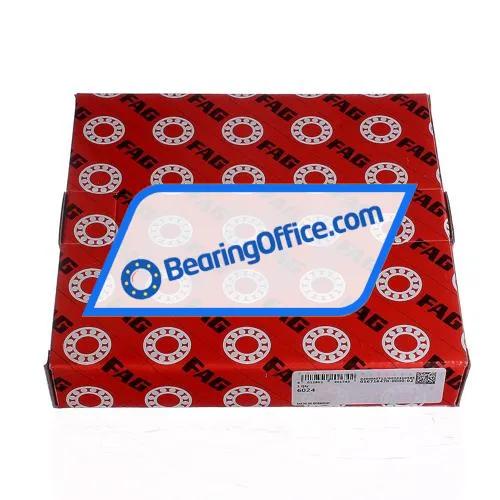 FAG 6024 bearing image 4