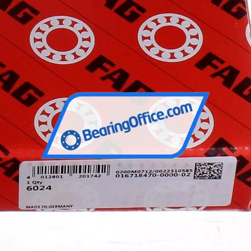 FAG 6024 bearing image 5