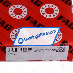 FAG 6024 rulman resim 5