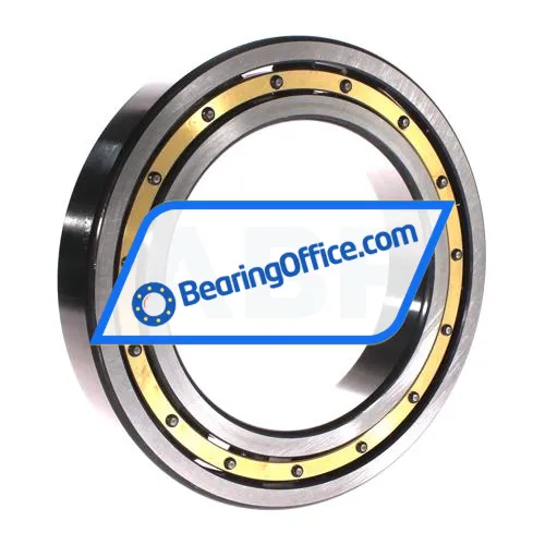 FAG 6026-M-C4 bearing image 2