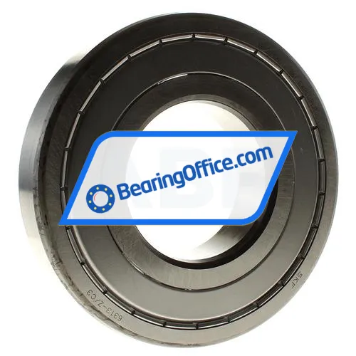 SKF 6313-Z/C3