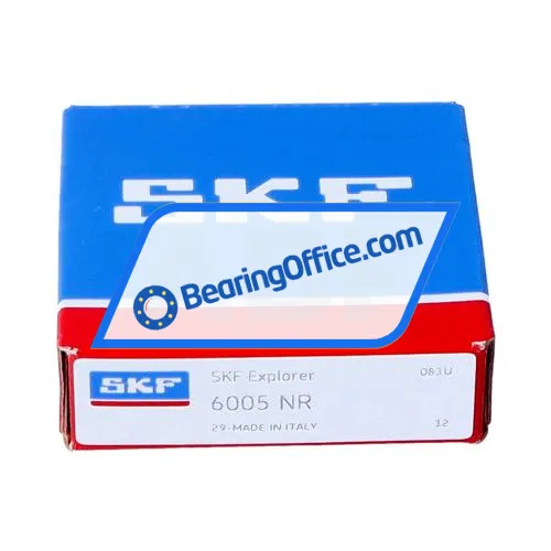 SKF 6005NR bearing image 3