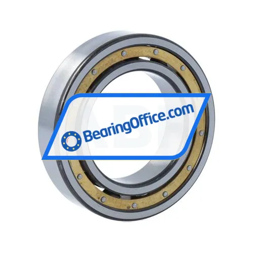 FAG 6009-MA-C3 bearing image 2