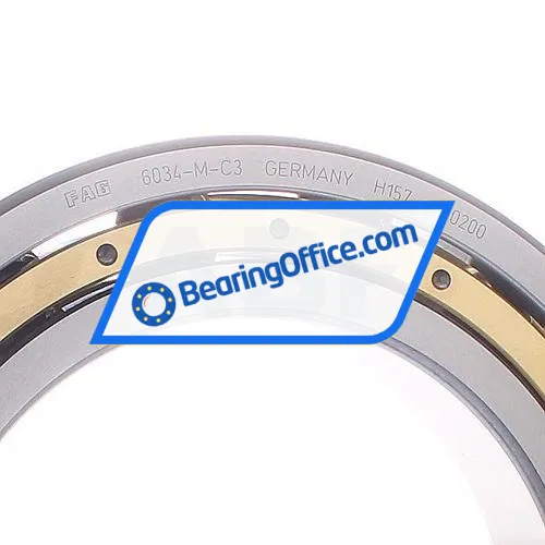 FAG 6034-M-C3 bearing image 2
