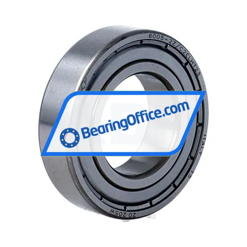 SKF 6005-2Z/C2ELHT23