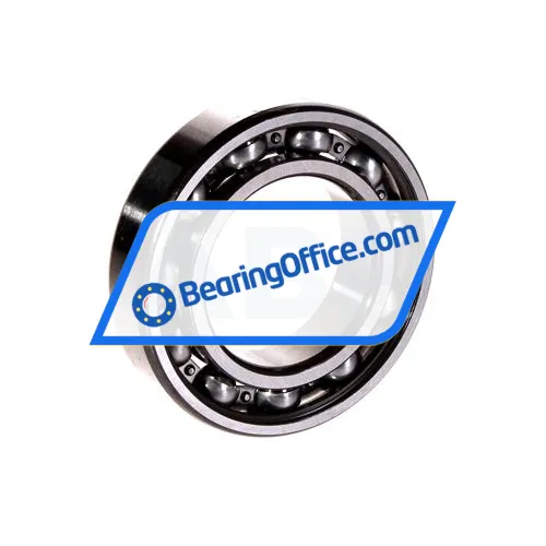 FAG 6007 bearing image 2