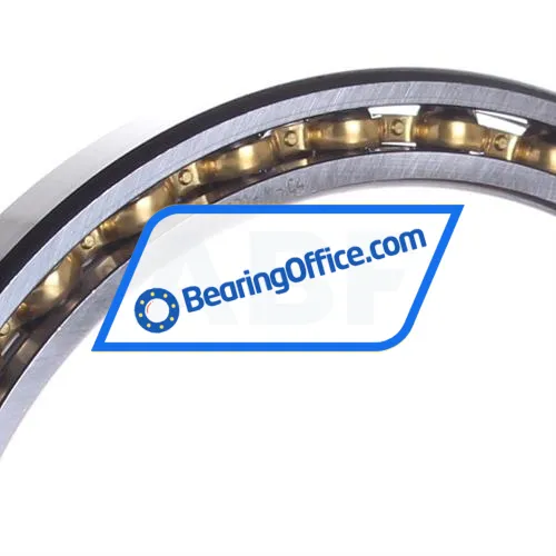 FAG 61821-Y-C4 bearing image 2