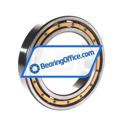 FAG 6017-M-S1-C4 rulman resim 2