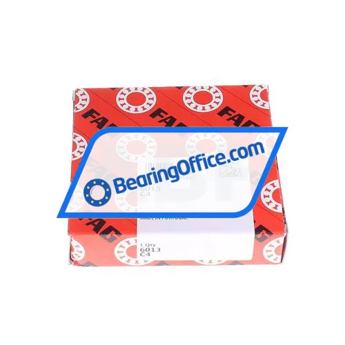 FAG 6013-C4 bearing image 2