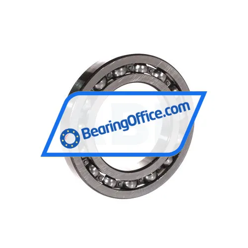 SKF 16009 bearing image 2