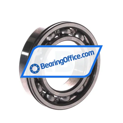 FAG 6007-N bearing image 2