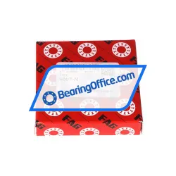 FAG 6007-N rulman resim 3