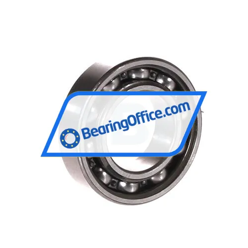 SKF 6005-RS1/QE6