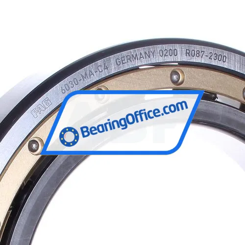 FAG 6030-MA-C4 bearing image 2