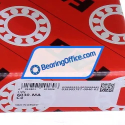 FAG 6030-MA-C4 rulman resim 5