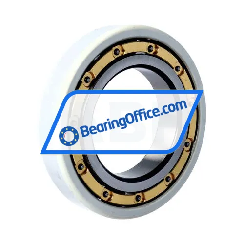FAG 6217-M-J20AA-C4 bearing image 2