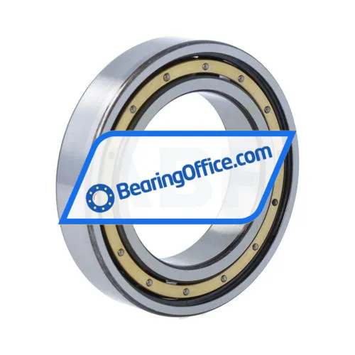 FAG 6010-M bearing image 2