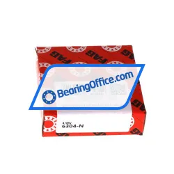 FAG 6304-N rulman resim 3