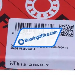 FAG 61813-2RSR-Y rulman resim 5