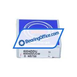 NSK 6004DDU rulman resim 3