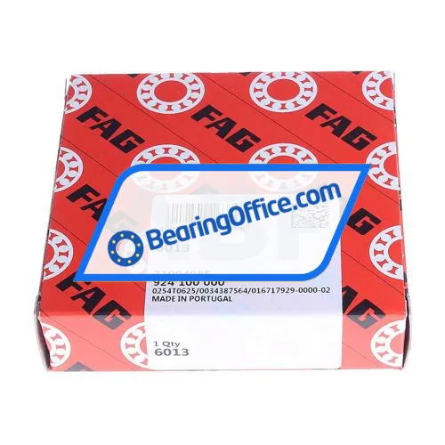 FAG 6013 bearing image 2