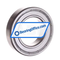 NKE 6007-2Z rulman resim 1