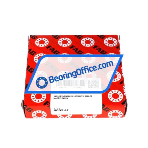 FAG 6009-H bearing image 3