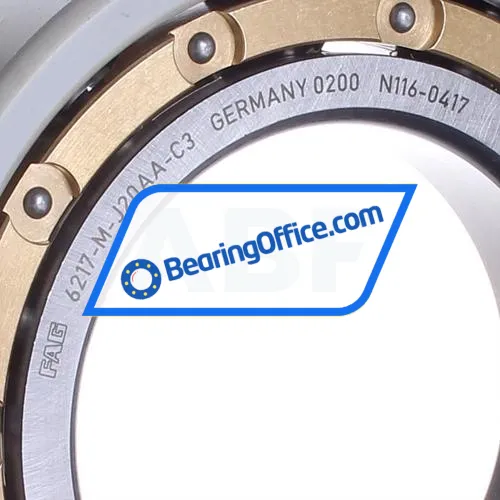 FAG 6217-M-J20AA-C3 bearing image 2