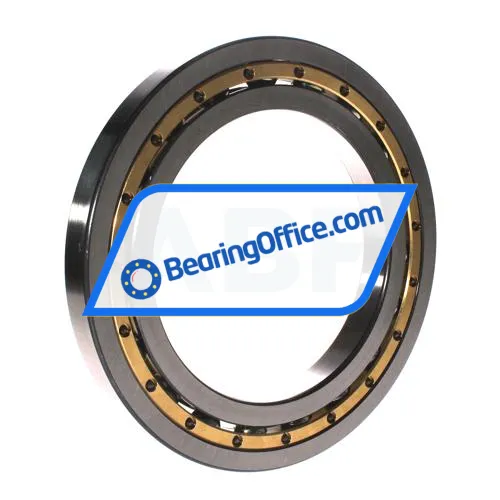 FAG 16028-MA-C3 bearing image 2