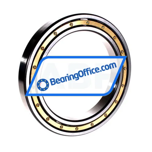 FAG 61926-M bearing image 2