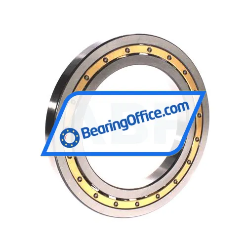 FAG 16024-C4 bearing image 2